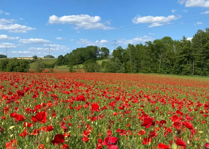 Charmantes Chateau Lichter - Alte Schmiede *