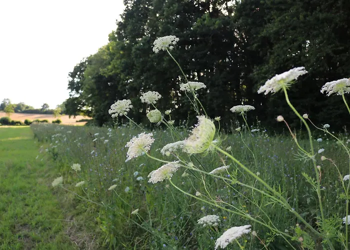 Villa Charmantes Chateau Lichter - Alte Schmiede *